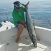 FISHHere - Image 4